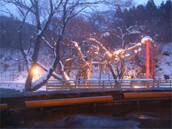 愛隣館25.jpg