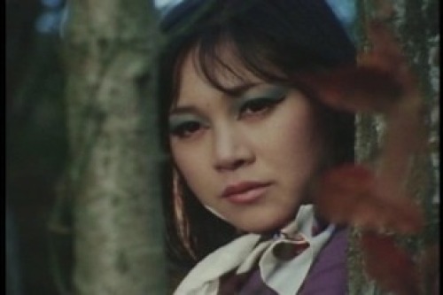 PDVD_049.jpg