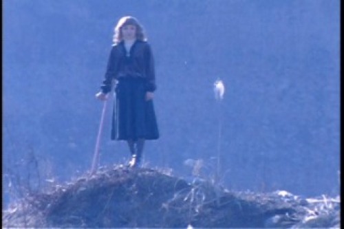 PDVD_007.jpg