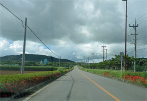 石垣339.jpg
