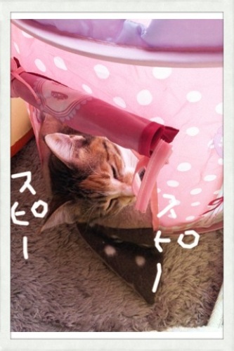 201203151140_9193_iphone.jpg