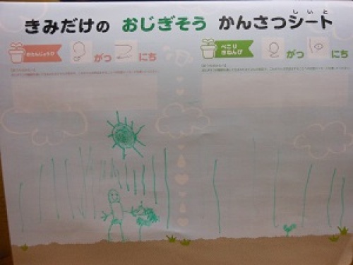 2014..10 おじぎそうのぺこり記念日2.JPG