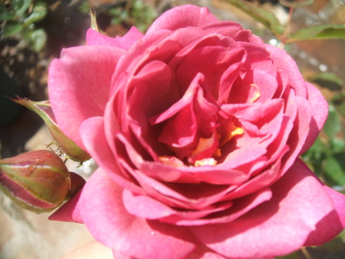 DSCF5994.JPG