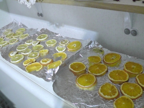 S1080001 (640x480).jpg