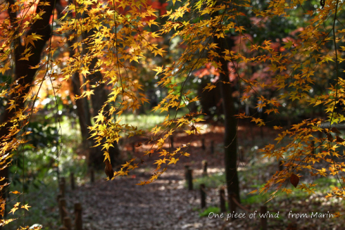 240455d64cf7ad37ecea35493e7bcbdb59f359fb.43.2.9.2 (1).jpeg