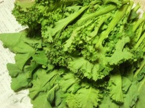 DSCN6678 (300x225).jpg