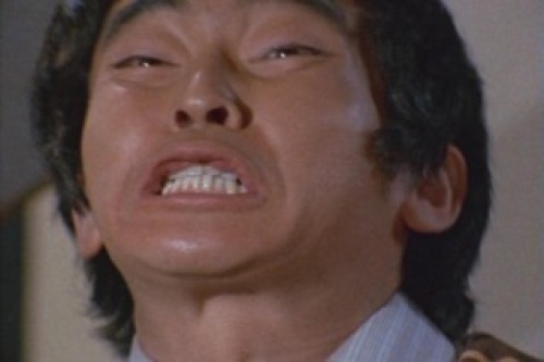 PDVD_037.jpg