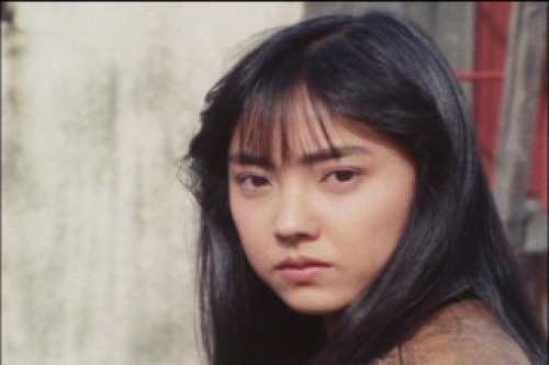 PDVD_151.jpg