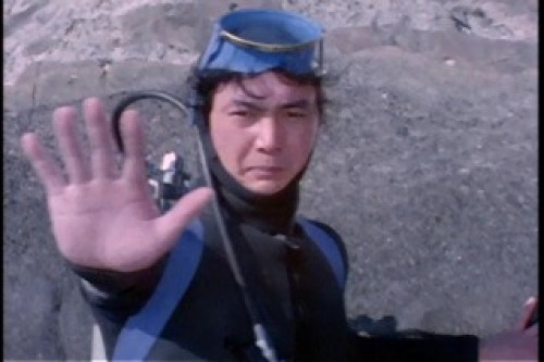 PDVD_006.jpg