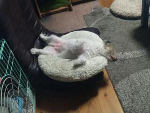 20120908_010514.jpg