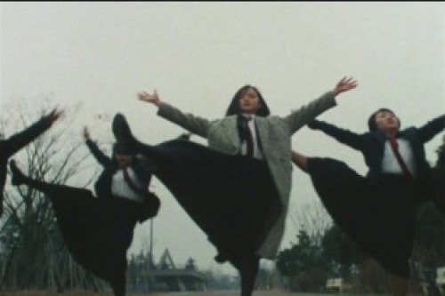 PDVD_005.jpg