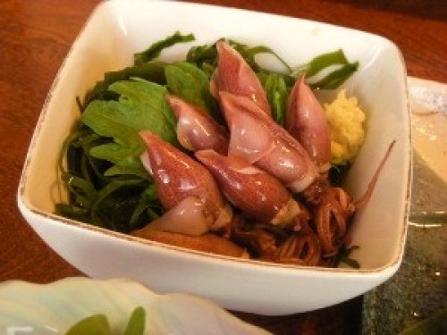 DSCN7205 (300x225).jpg