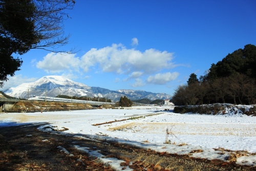 のいぶきIMG_4620.jpg 雪.jpg