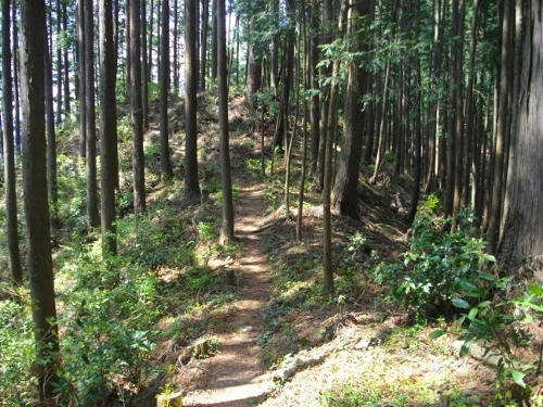 辛垣城尾根道 (500x375).jpg