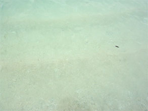 沖縄75.jpg