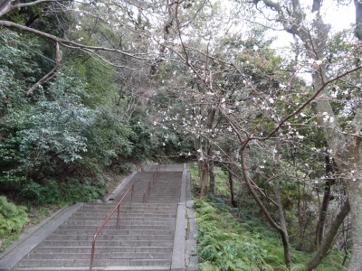 13城山入口と桜.jpg