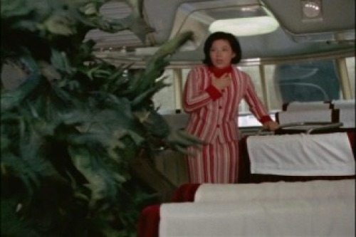 PDVD_036.jpg