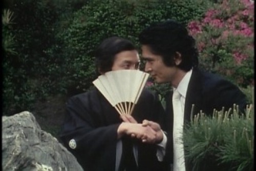 PDVD_028.jpg