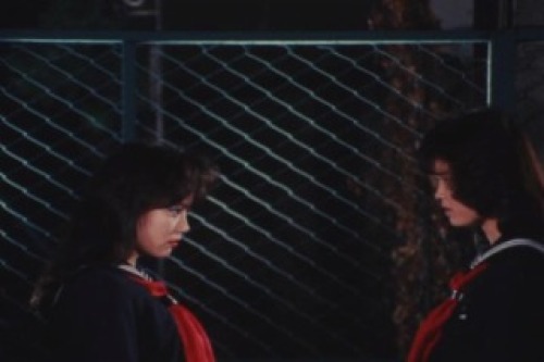 PDVD_014.jpg