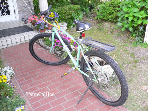 自転車3.JPG