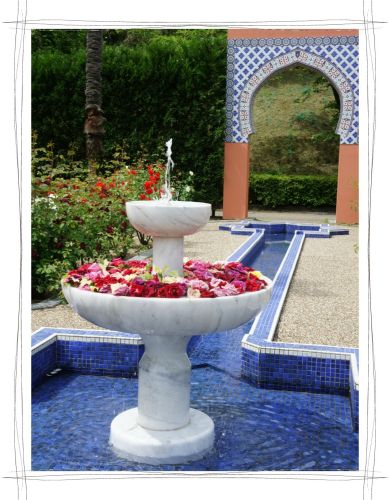 花フェスタ記念公園　岐阜　可児　バラ