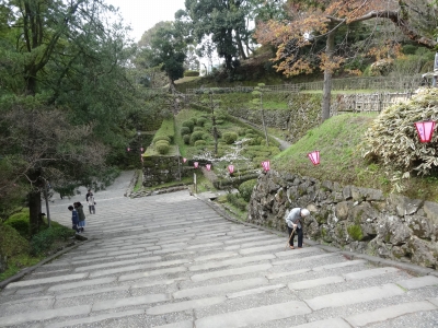 DSC00410.jpg