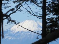 IMG_0433_R.JPG