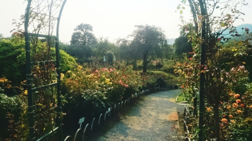 CYMERA_20150711_102012.jpg