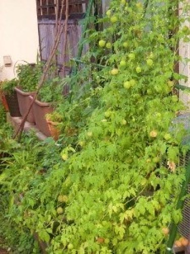 DSCN2925 (300x225).jpg