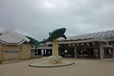 沖縄549.jpg