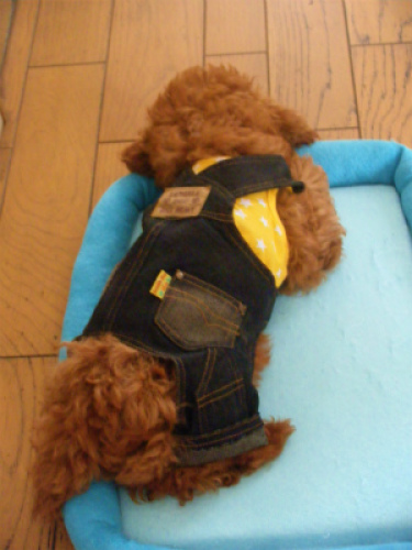 DSCF8695.jpg