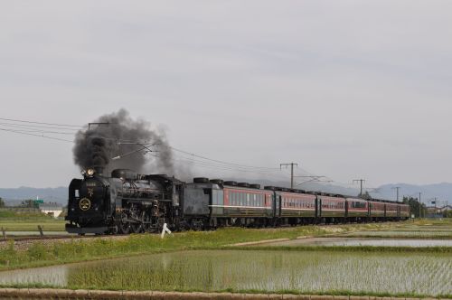 DSC_0025.jpg