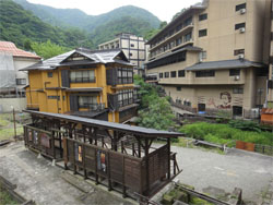 東鳳51.jpg
