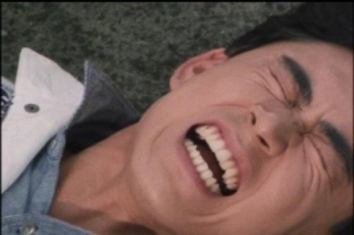 PDVD_031.jpg