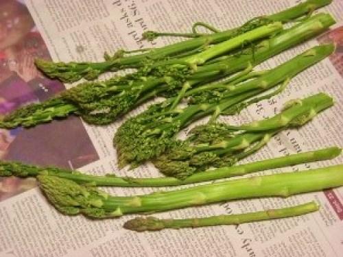 DSCN8863 (300x225).jpg