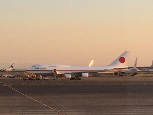 IMG_8428 (640x480).jpg