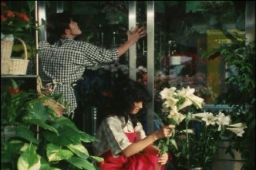 PDVD_043.jpg
