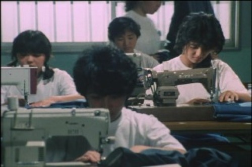 PDVD_007.jpg