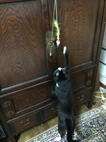 IMG_0655 - コピー.JPG