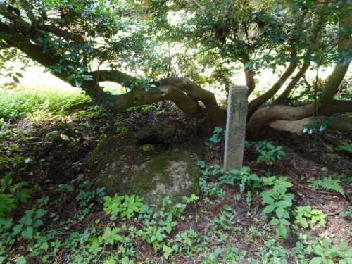 増山城二の丸神水鉢.JPG