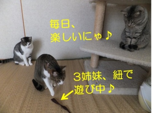 20121231_2.jpg