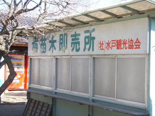 20150211_偕楽園　水戸の梅まつりの準備.jpg