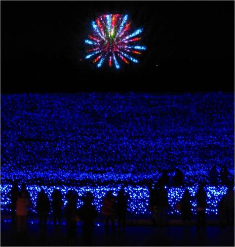 イルミ_17夏、夢の共演花火.jpg