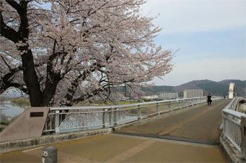 白石川3.jpg