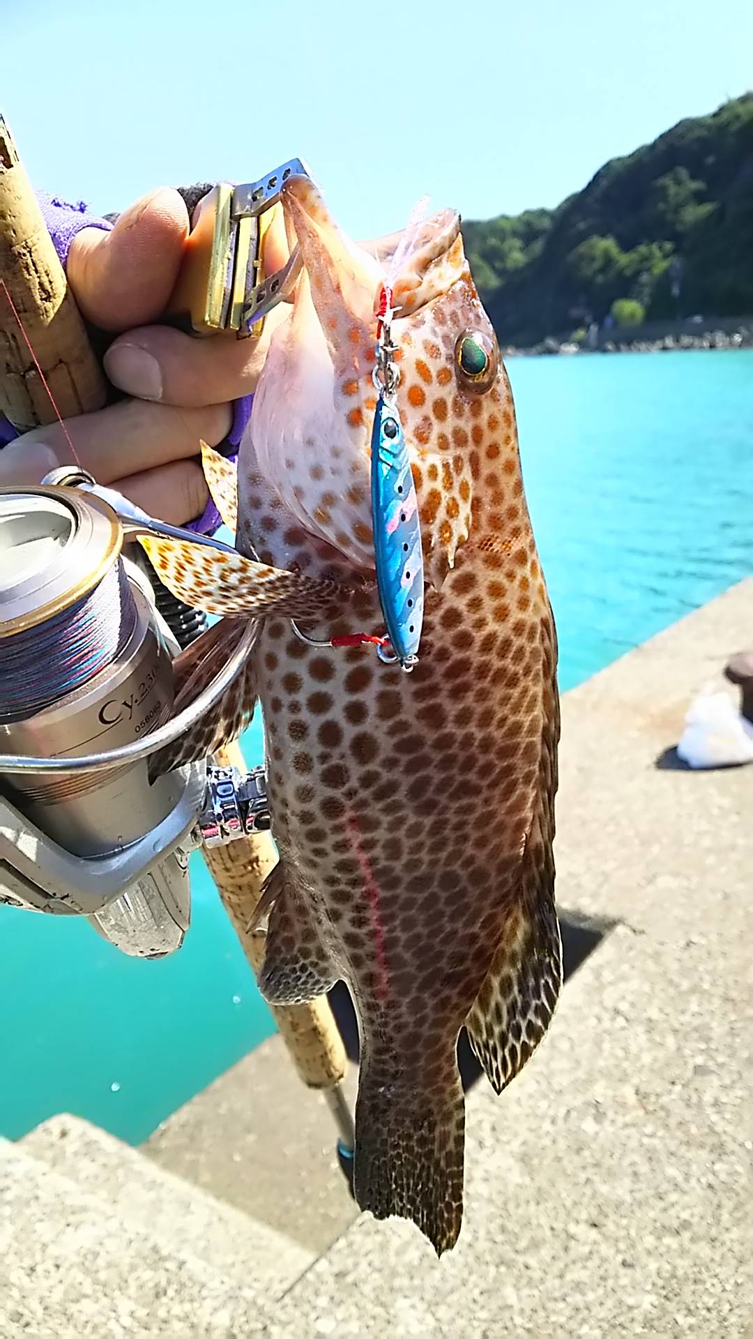 今年の釣果まとめ 釣りと日常 楽天ブログ