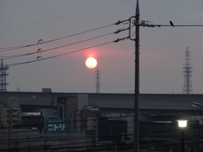 DSC09269.jpg