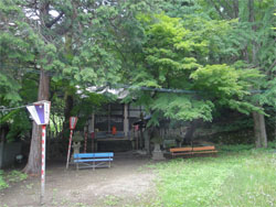 東鳳55.jpg