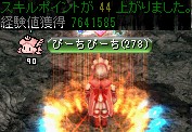 キングクラブの巣