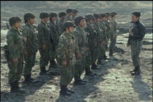 PDVD_032.jpg