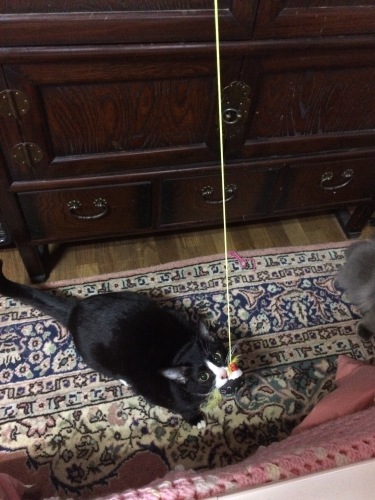 IMG_0657 - コピー.JPG